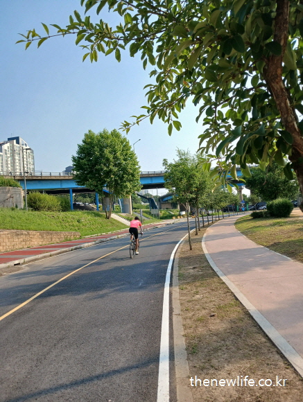 자전거 도로를 달리는 라이더 – 마른비만 해결 운동 자전거 타기