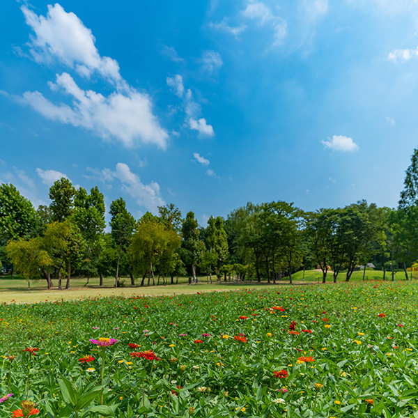 2025 추석 관광지 무료 개방 