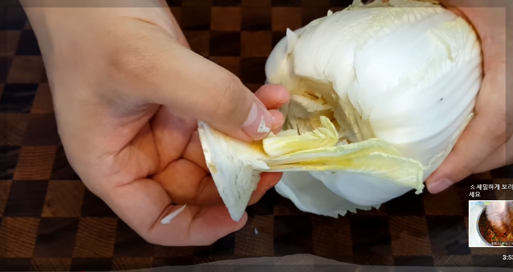 배추겉절이 만드는법 대박집 겉절이김치 황금레시피