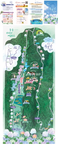 강진_수국길_축제