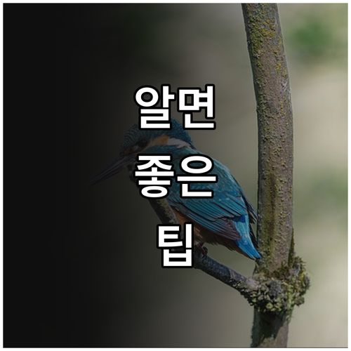 군산시 2025 출산지원금 1년 이내..