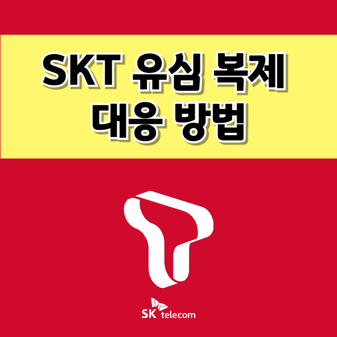 SKT 유심 복제 대응 방법SKT 정보 유출 사태, 유심 복제 대책, 유심 교체 방법