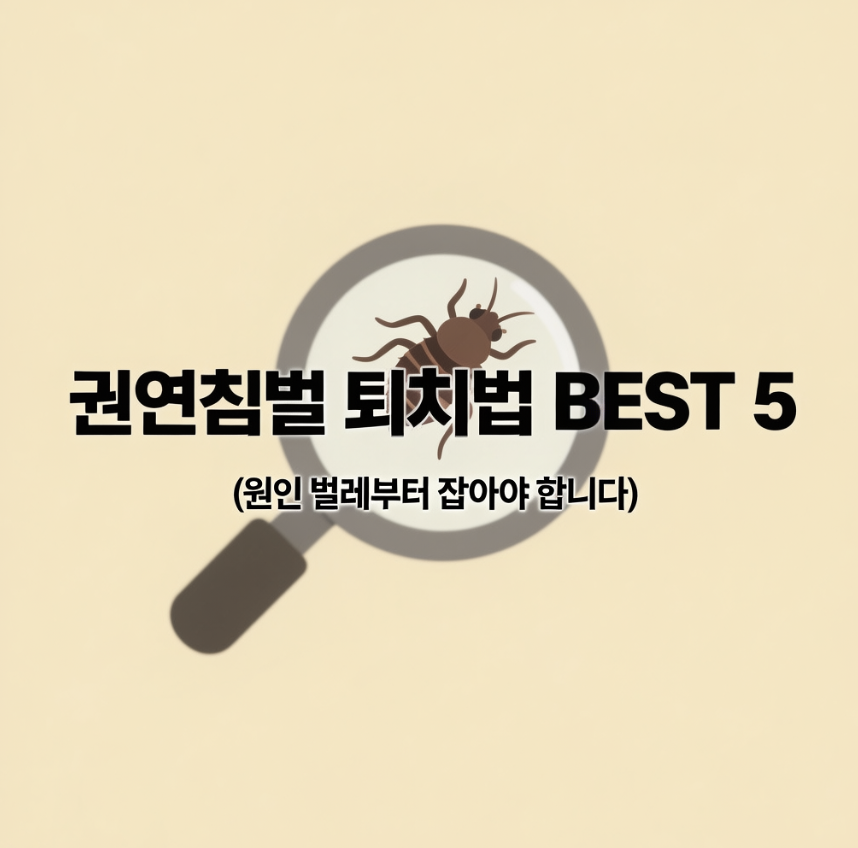 권연침벌 퇴치법 BEST 5 (원인 벌레부터 잡아야 합니다)