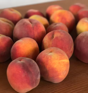 복숭아 효능 부작용 칼로리