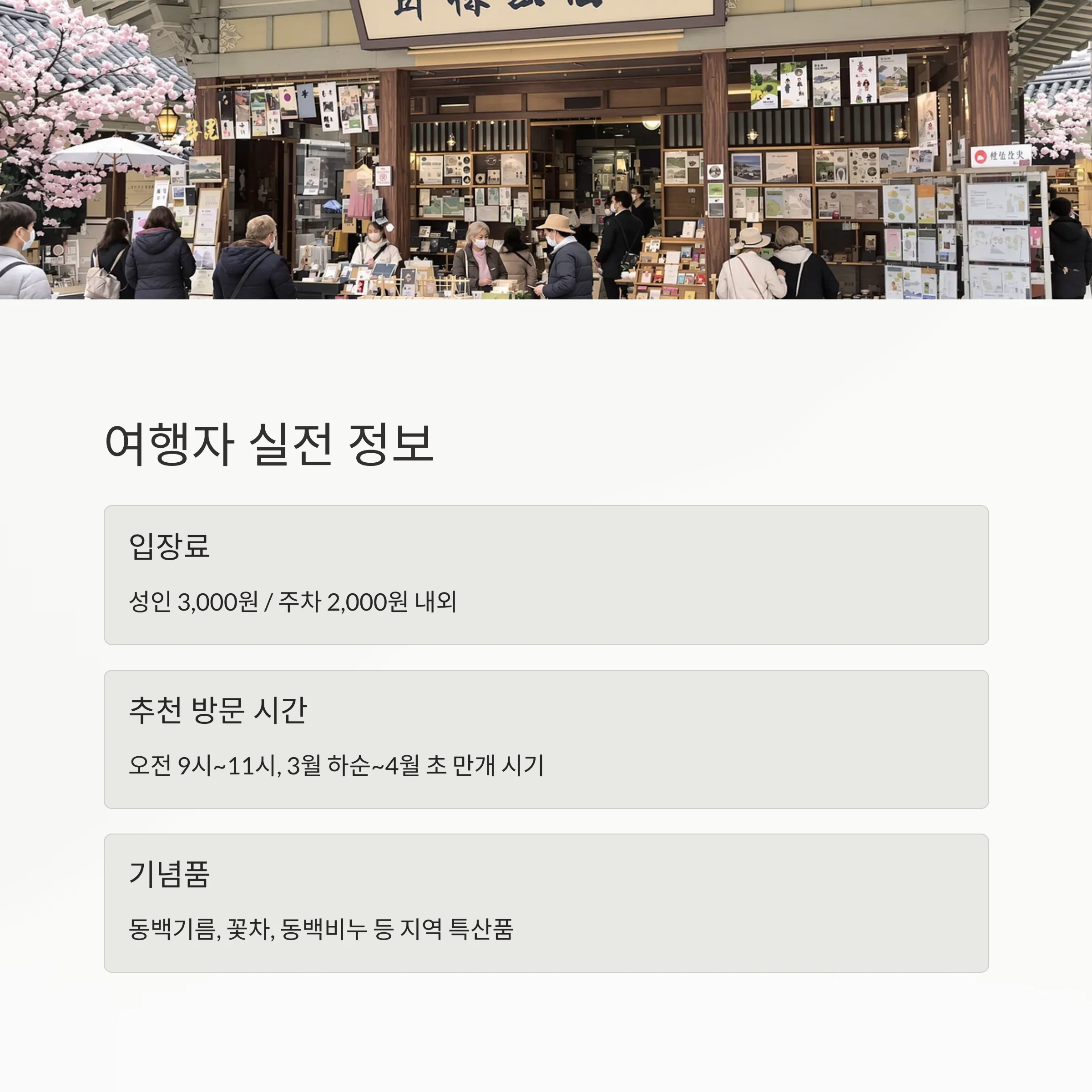 고창 선운사 동백꽃 명소