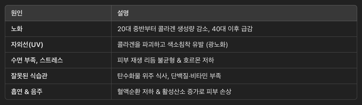 피부 탄력이 떨어지는 이유
