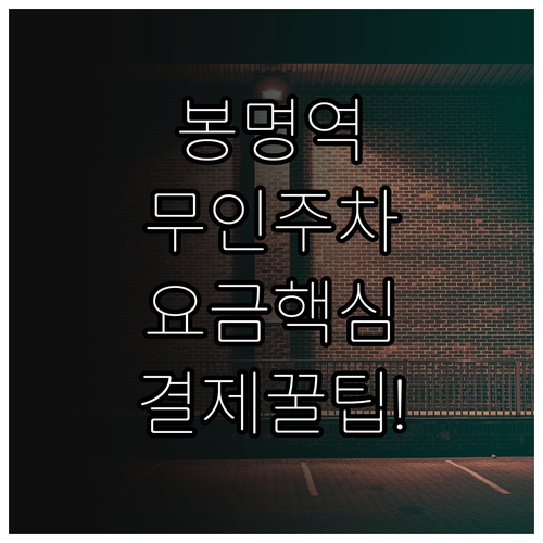봉명역 24시간 무인 주차장 요금 체..