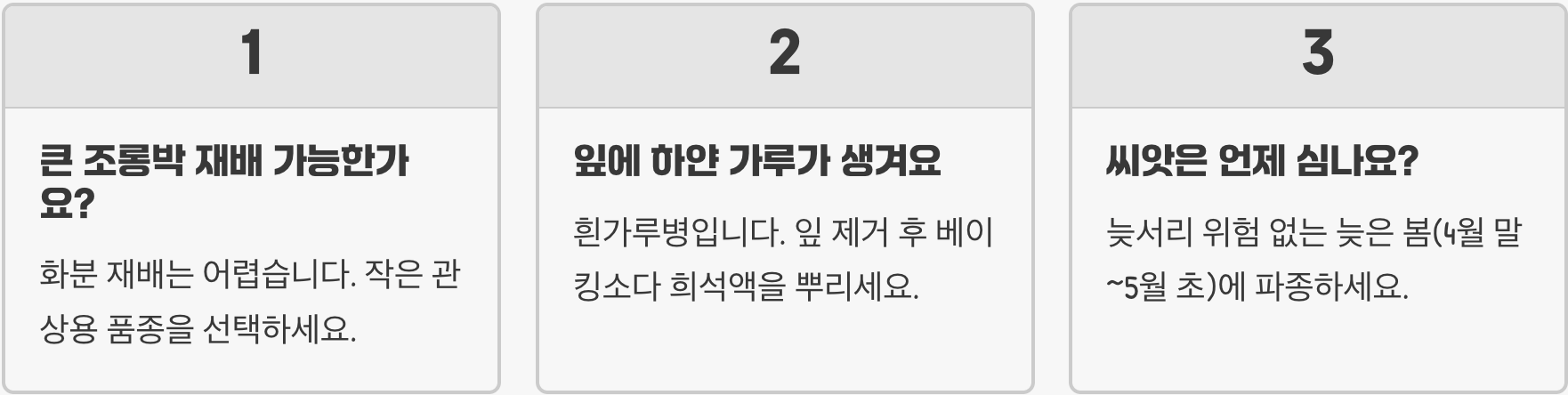 아파트 베란다에서 미니 박꽃 키우기, 덩굴 관리와 화분 선택법