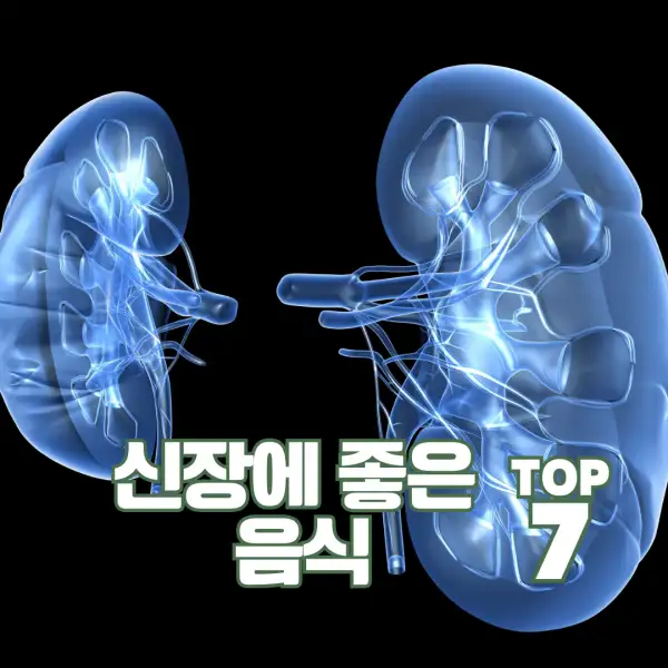 신장에 좋은 음식