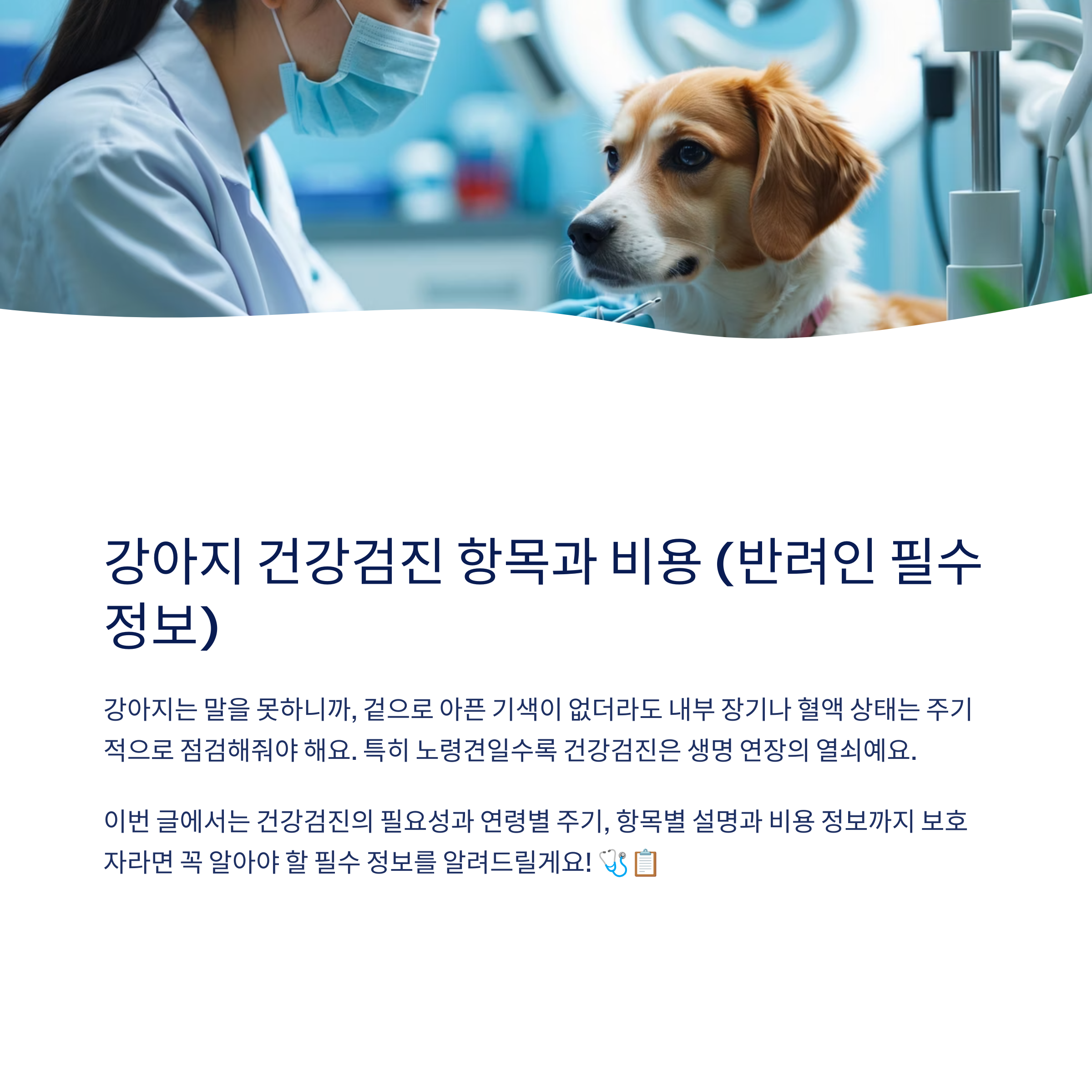강아지 건강검진 항목과 비용 (반려인 필수 정보)