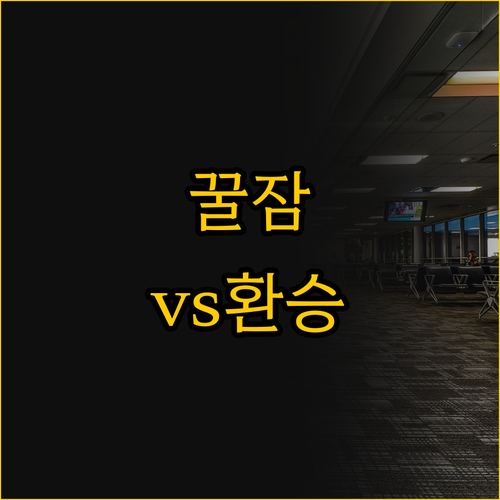경유객을 위한 두바이 공항 호텔 추천..