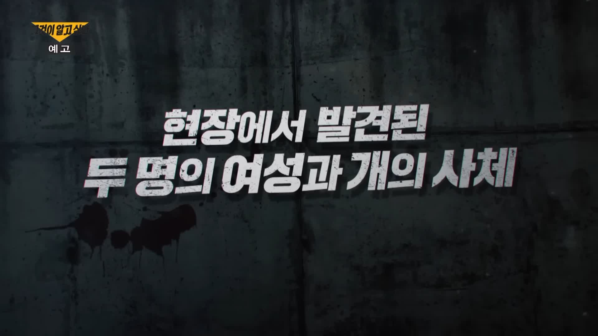 그알 그것이알고싶다 용답동 비옷 범인 만난 경험담 괴담 서울판 살인의 추억 정체 내연남 무죄 판결과 새로운 증거 1314회