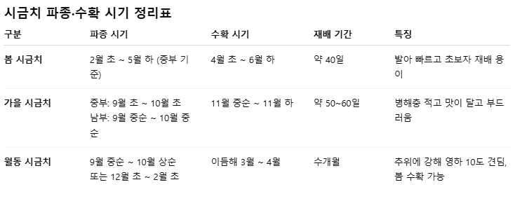 시금치심는시기 지역별 봄 가을 월동 시금치 씨앗 파종 수확 시기 키우기 재배 방법 1