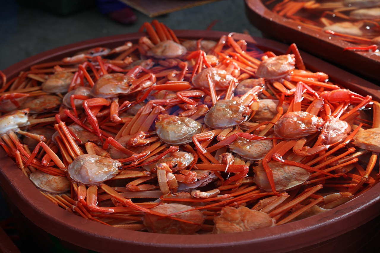 hong-to-sokcho-crab