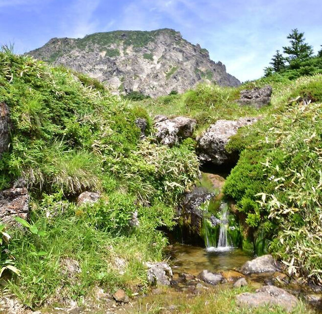 한라산 백록샘 예약 완전 정복 가이드