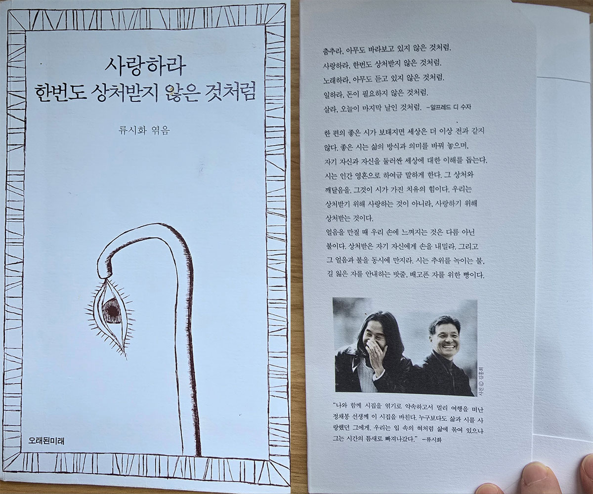 사랑하라, 한 번도 상처받지 않은 것처럼