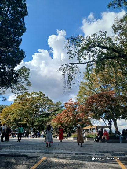 서울 단풍명소 남산 광장 단풍 풍경