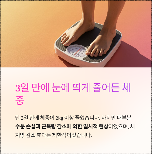 레몬 디톡스 체험기: 3일 만에 느낀 변화와 진짜 효과