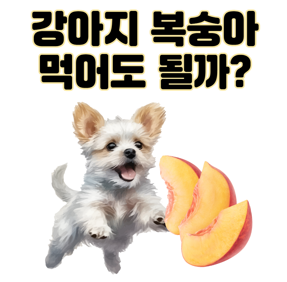 강아지 천도복숭아 먹어도 될까? 안전한 급여 방법