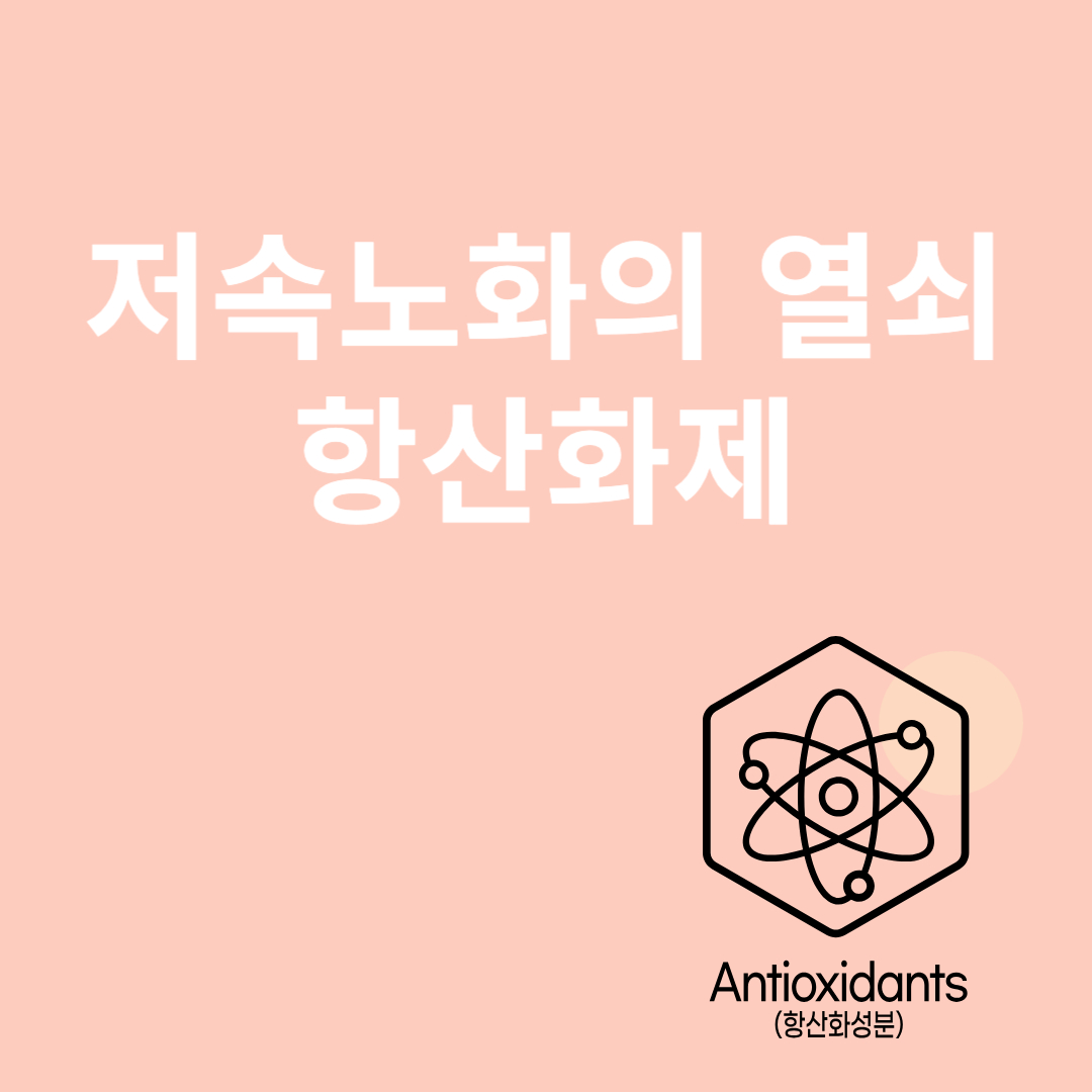 저속노화와 관련된 이미지