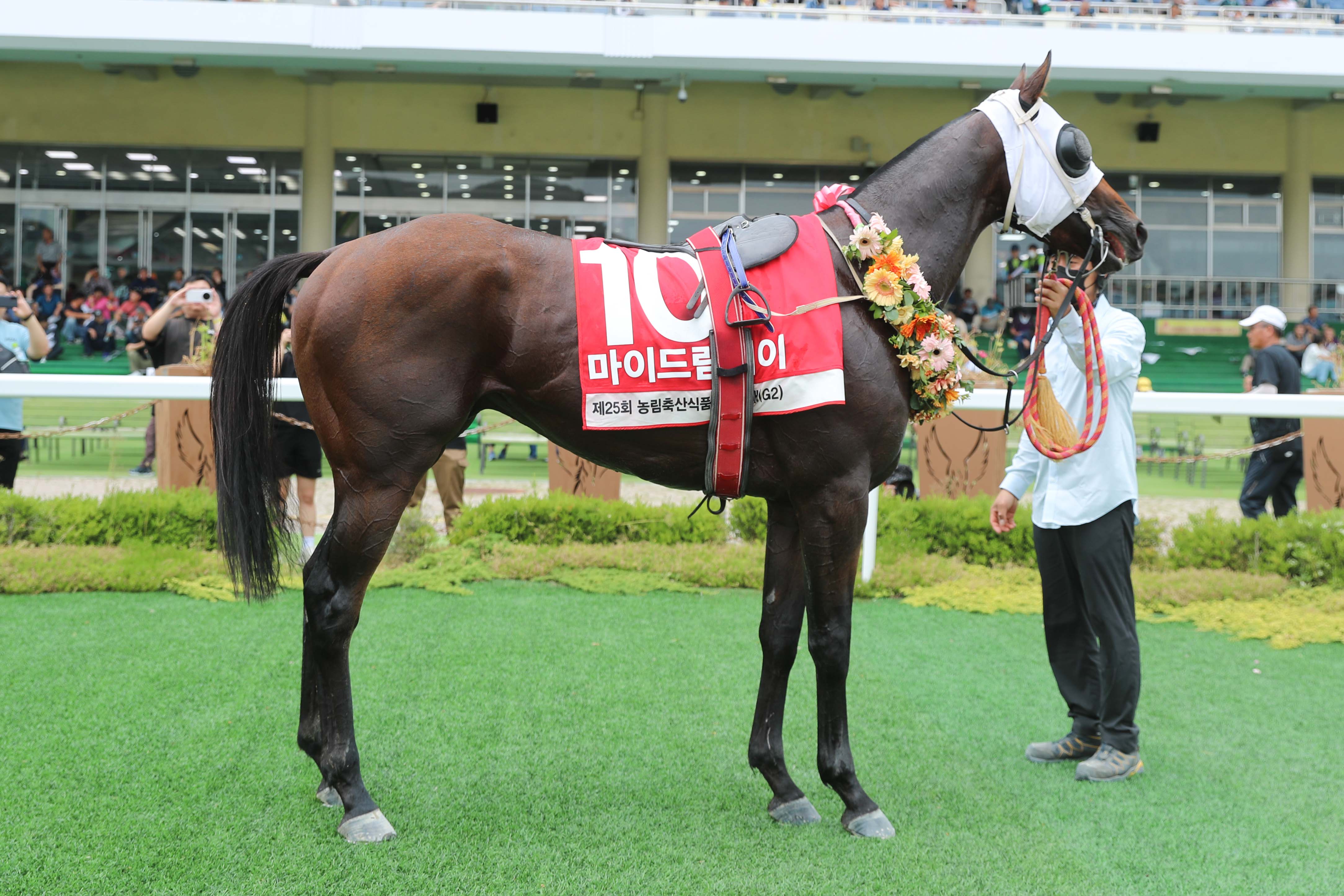 장관배 우승마 마이드림데이