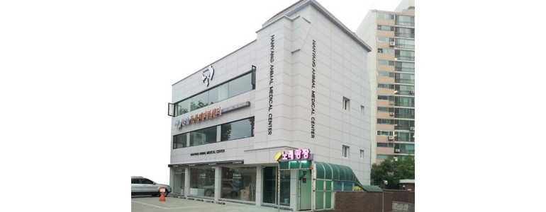 서울 성동구 동물병원