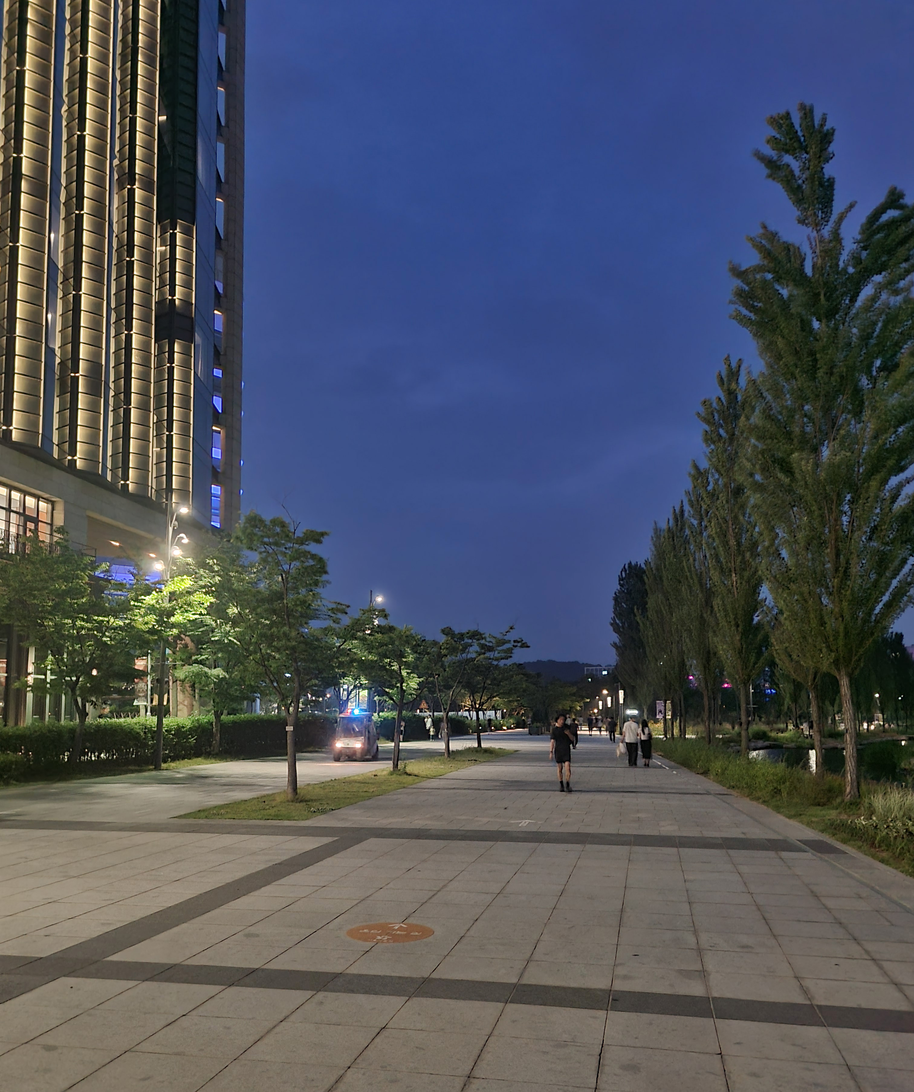 서울식물원 진입광장 야경 1