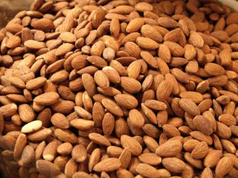 아몬드 재배 개화기 저온 대책 수분수 관리_7