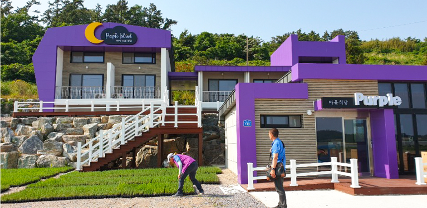 신안 퍼플섬 여행 가이드 - 보랏빛 낭만 속으로!