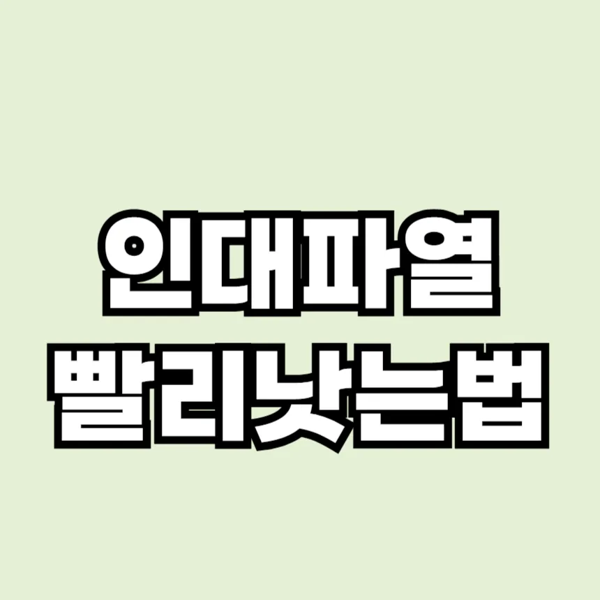 인대파열 빨리 낫는 법