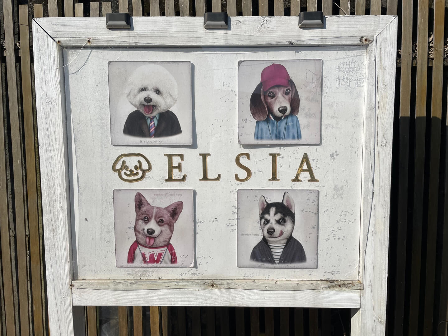 엘시아 애견풀빌라