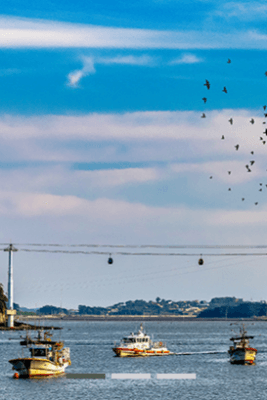 제부도 해상 케이블카 요금