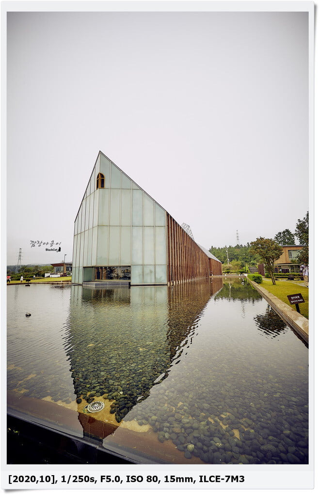 방주교회 주변 핑크뮬리와 교회 외관 산책 포인트