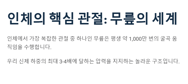 인체의 핵심 관절