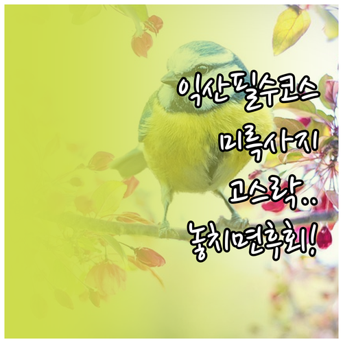 익산 봄나들이 명소 미륵사지 국립익산..