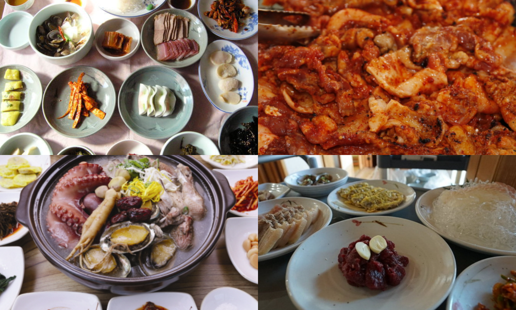 강진 맛집