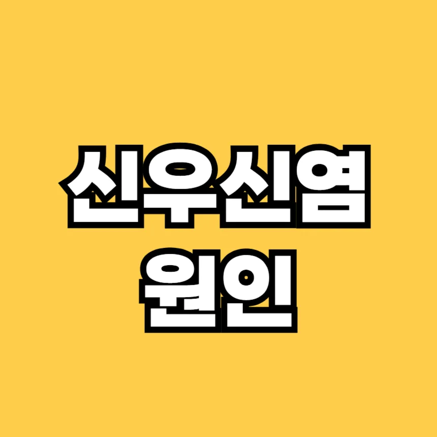 신우신염 원인