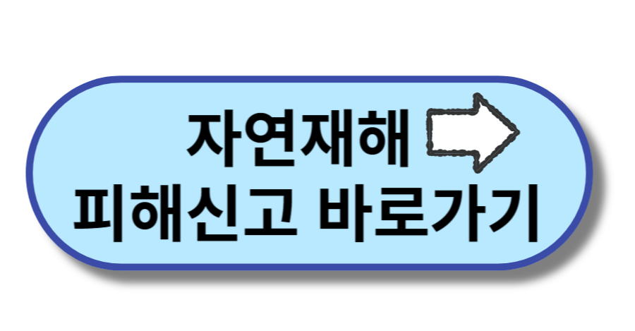 국민재난안전포털