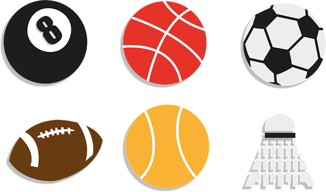 안세영 월드투어 일정