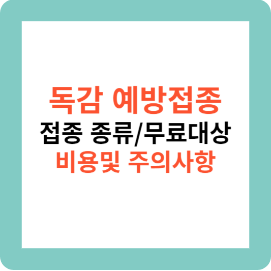 독감-예방접종-종류-무료대상-비용-및-주의사항