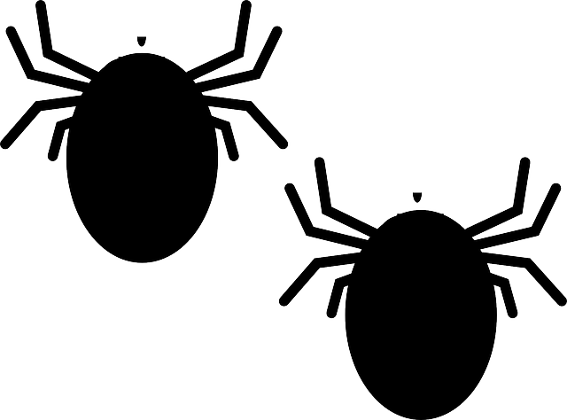 빈대 예방 방제 방법