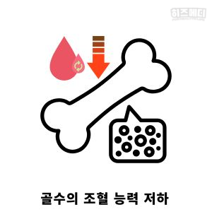 노인 빈혈 원인 관리