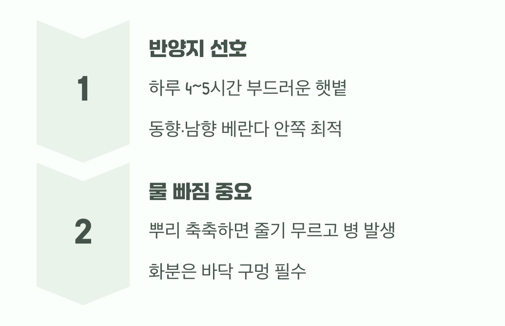 햇볕과 바람이 머무는 자리