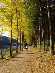 남이섬 어쿠스틱 청춘 페스티벌 총 정리