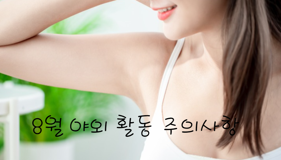 8월 여름 야외 활동 시 주의사항