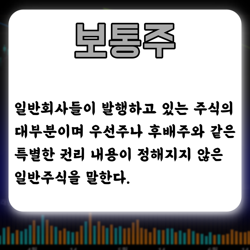 보통주의 의미