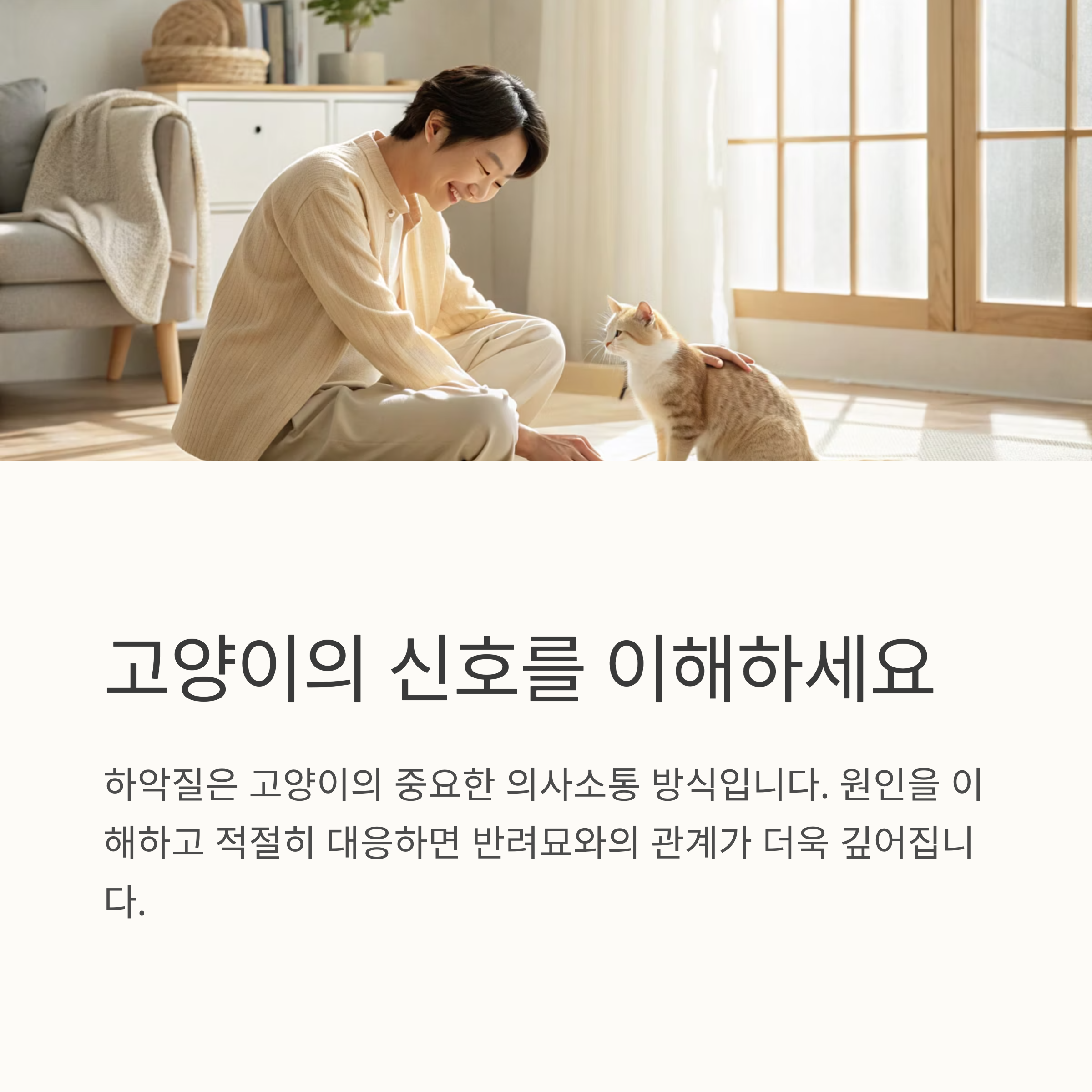 고양이의 신호를 이해하세요