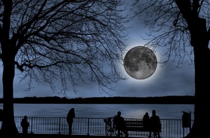 꽃피는 달의 신비와 의미 플라워문