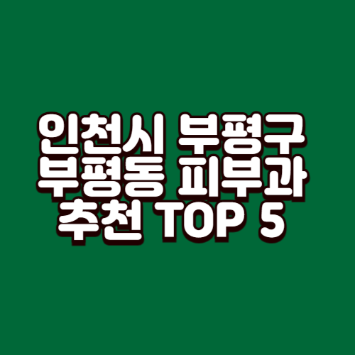 인천시 부평구 부평동 피부과 추천 TOP