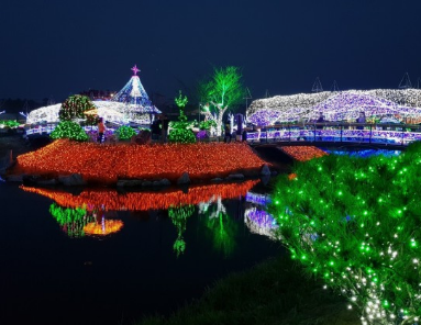 365일 빛축제 가을에 꼭 가봐야할 빛축제 BEST 5